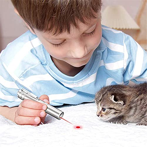 Famkrw Puntero LED Gatos Perro Mascota Interactivo con USB Recargable, Mini Linterna Multifuncional Portátil De 2 Piezas, Juguetes Ligeros, Regalos para Mascotas