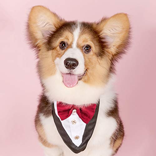 FeiLuo Bandana para Perro Pet Pañuelo de Triangle Ajustable Reversible Esmoquin Traje de Perros de la Novedad Bow Tie Suit Pañuelos para Cachorro y Gato (Pajarita Roja)