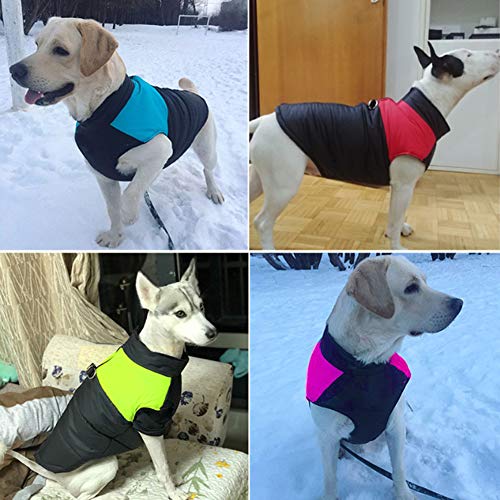 FEimaX Abrigo para Perro Impermeable Chaqueta Cálido de Invierno y Otoño, Ropa de Algodón para Perros Pequeños Medianos y Grandes Mascotas Chaleco de Cachorro y Gato para Clima Frio