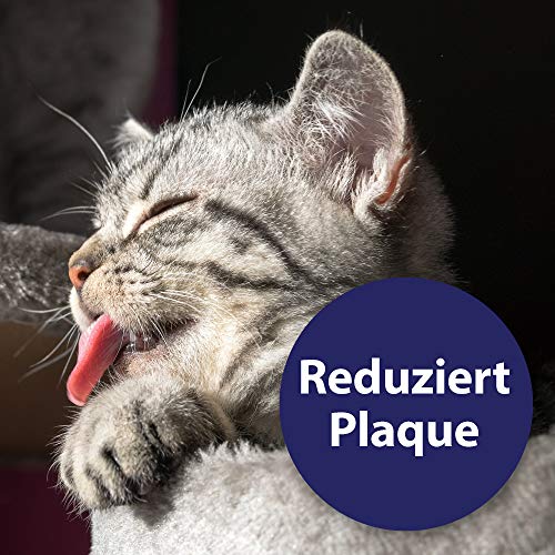 Felisept Almohadillas De Limpieza De Dientes para Gatos 50 Piezas - Cajas De Dedos para Una Práctica E Intuitival Impieza Dental Eficaz, Cuidado Dental, Higiene Bucal - Ayuda contra El Mal Aliento