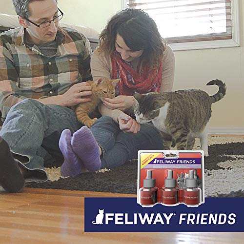 FELIWAY D89440L Friends - Pack Ahorro de 3 x 30 días, 144 ml