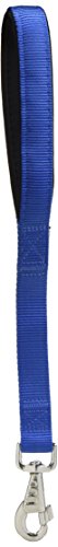 Ferplast Correa Nylon Daytona GM25 45 Azul