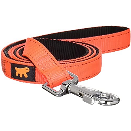 Ferplast Dual Naranja Nailon Correa para Perro (tamaño Mediano)