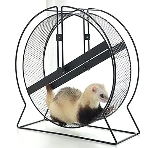 Fhdisfnsk 43 cm Mini Hedgehog Sport Wheel, Rueda de Ejercicio para Mascotas pequeñas de Rueda de Metal para hurón, Ardillas, Conejillo de Indias, marmota