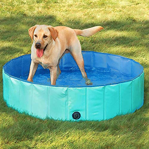 Forever Speed Piscina de Baño Ducha Plegable para Mascota Bañera Portátil para Perro/Gato Animales (160X30cm)