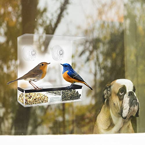 FORMIZON Comedero para Pájaros, 2 Pcs Comedero para Ventanas Comedero Pajaros Colgante de Exterior Estación de Alimentación para Pájaros, Comederos para Aves con 3 Ventosas Fuertes