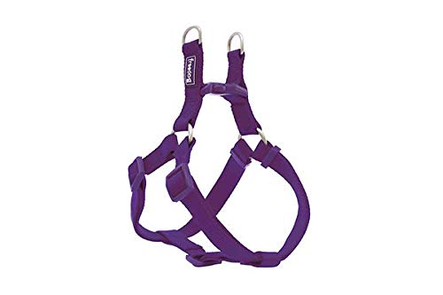 Freedog Arnés Perro Nylon Basic Tipo A Violeta Talla 1