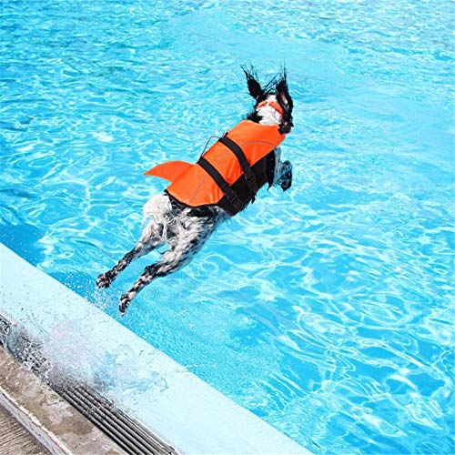 FR&RF Chaleco salvavidas de seguridad para perro, chaleco salvavidas de tiburón con alta flotabilidad y asa de elevación para dispositivo de seguridad para cachorros, piscina, barco, M