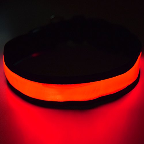 Fun Pets Collar de Seguridad para Perros con LED Recargable Ultra Brillante con Gran Visibilidad y Seguridad Mejorada Medio (40cm - 50cm / 15.7" - 19.7") Rojo