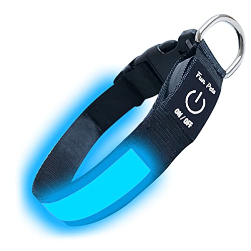 Fun Pets Collar de Seguridad para Perros con LED Recargable Ultra Brillante con Gran Visibilidad y Seguridad Mejorada X-Pequeña (20 cm - 30 cm / 7,87" - 11.8") Azul