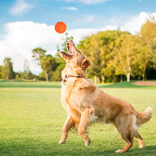 FUNCOCO Bola de mordida, Pelota de Entrenamiento para Mascotas, béisbol de Goma, interactiva, Divertida mordedura, Juguetes para Masticar, Gato, Gatito, Perro, Productos para Cachorros