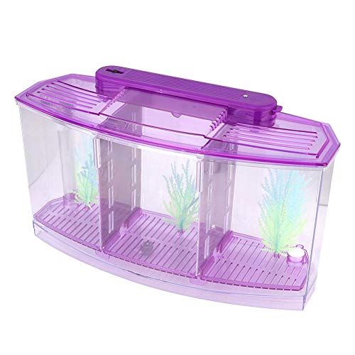 fuwinkr Pecera de Aislamiento de Peces pequeños, Mini pecera de Aislamiento de acrílico para Peces, Transparente para Peces pequeños Peces bebés Camarones Pez Payaso Guppy(Purple)