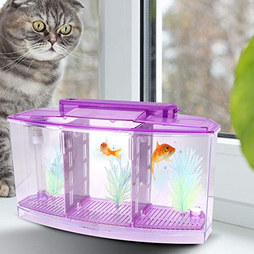 fuwinkr Pecera de Aislamiento de Peces pequeños, Mini pecera de Aislamiento de acrílico para Peces, Transparente para Peces pequeños Peces bebés Camarones Pez Payaso Guppy(Purple)