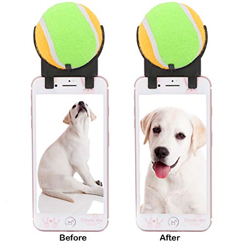 Geluode Pet Selfie Stick Clip Ball, 6,5 cm Accesorio para teléfono de tenis para perro mascota agilidad entrenamiento foto cachorro fotografía interacción juguete