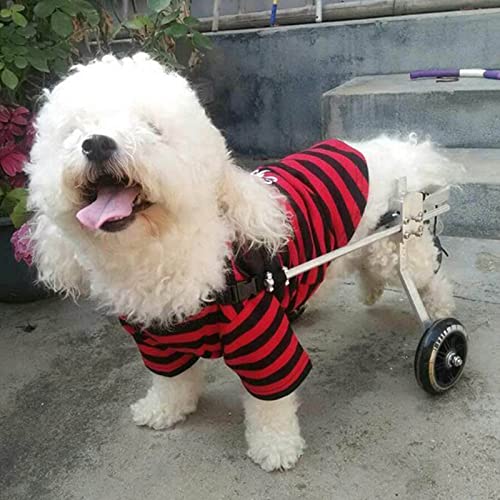 GHFXFG Silla De Ruedas para Mascotas,Soporte para Piernas para Perros,Ajustable Rehabilitación Las Patas Perros Remolques para Bicicleta,Perro Asistido Caminar Coche para