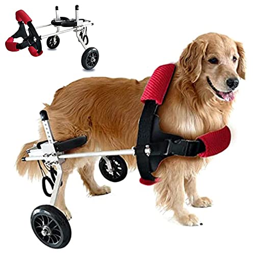 GHFXFG Silla De Ruedas para Mascotas,Soporte para Piernas para Perros,Ajustable Rehabilitación Las Patas Perros Remolques para Bicicleta,Perro Asistido Caminar Coche para