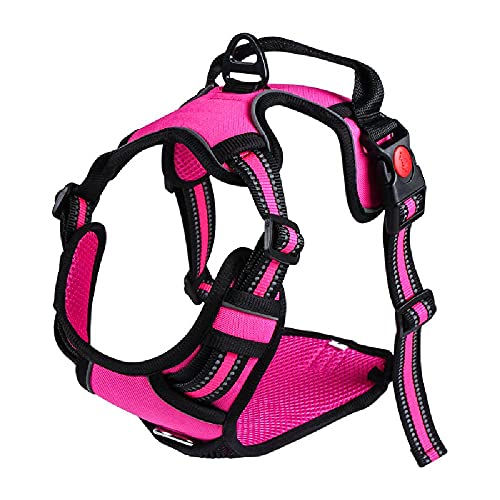 GJHYJK Chaleco con Correa para Mascotas, Entrenamiento de Seguimiento, cinturón para Caminar para Perros, Chaleco Altamente Reflectante para Perros pequeños, medianos y Grandes,Pink-M