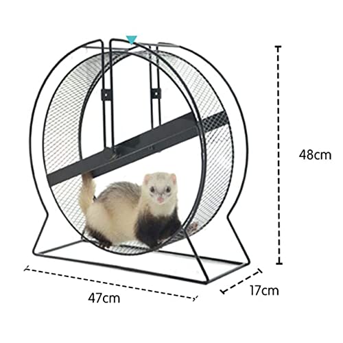 GKPLY Rueda de Ejercicio para Mascotas pequeñas de 43 cm, Gran tamaño, silenciosa, Antideslizante, Eje a Prueba de roturas, Rueda de Metal para hurón, Ardillas, Conejillo de Indias, marmota