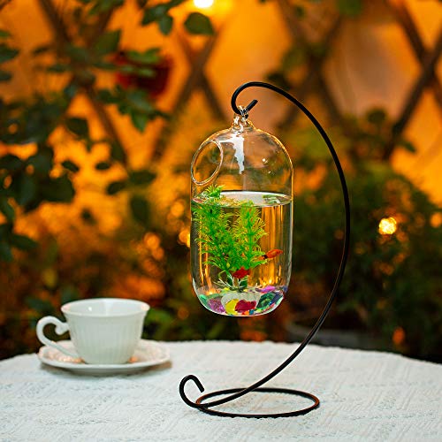 Glasseam Pecera Colgante De Vidrio Tanque Beta De Pared con Soporte Casas De Peces Florero Creativo Acuario para El Hogar Jardín Escritorio Betta Fish Moss