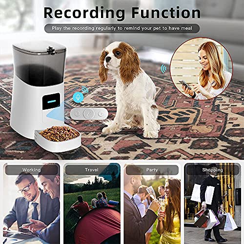 Gopetee6L Comedero automatico Gatos y Perros, Perros Dispensador de Comida con Recipiente, Dispensador de Comida automático,Control de Las Porciones,Con temporizador y función de grabación