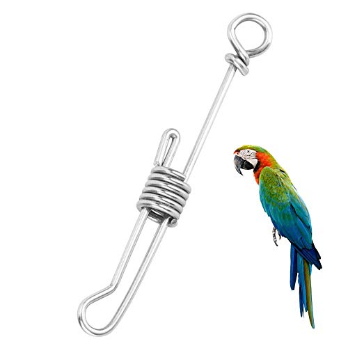 GOTOTOP Anillo de pie de Loros, pie de pájaro, Hebilla de pie, Anillo de Tobillera, aleación de Acero Inoxidable, Cadena de pie para pájaros pequeños, medianos, Grandes, Entrenamiento de Mascotas