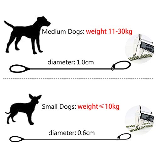 Grand Line Correa de Perro Nylon Cuerda de Entrenamiento Ajustable para Perros Pequeños, Medianos, Grandes y Extra - 0.6cm de Diámetro x 150cm de Largo(Gris)