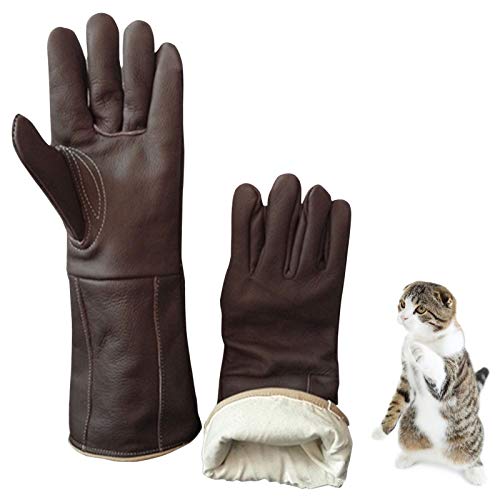 Guantes para manejo de animales Ragdoll Manipulación de animales anti-mordida / guantes de rasguño, caja fuerte persiana y cuero de vaca espesado duradero, para perro gato pájaro serpiente lagarto lag