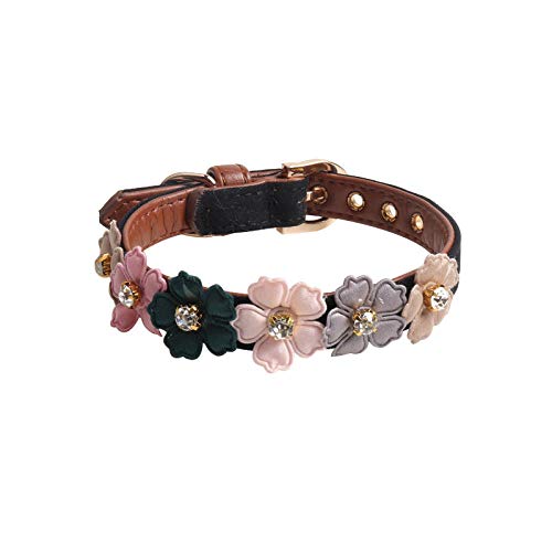 Gulunmun Collares Básicos 4 Colores Cute Flower Cat Collar Bling Rhinestone Collar para Perros Collar De Cuero para Mascotas para Gatos Pequeños 1 3 * 34Cm / 1 3 * 42Cm@White_1.3X42Cm