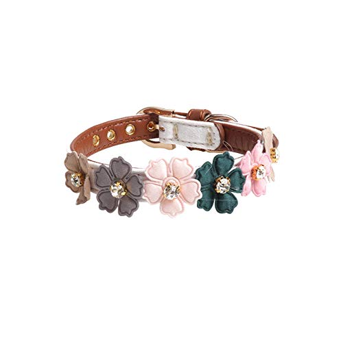 Gulunmun Collares Básicos 4 Colores Cute Flower Cat Collar Bling Rhinestone Collar para Perros Collar De Cuero para Mascotas para Gatos Pequeños 1 3 * 34Cm / 1 3 * 42Cm@White_1.3X42Cm