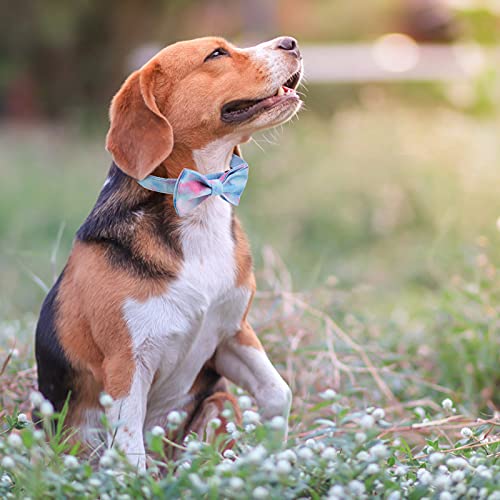 HACRAHO Collar de Perro Bowtie, PC 1 Pajarita Colorida del Cuello del Animal Doméstico Collar de Perro Ajustable Y Pajarita para Perro Pequeño Mediano