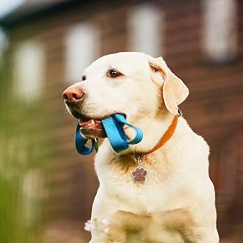 HACRAHO Etiqueta de Identificación de Perro, Etiqueta de Identificación de Perro con Huella de 18 PCS Y Etiqueta de Identificación de Perro con Brillo En Forma de Hueso, Gatos Y Mascotas