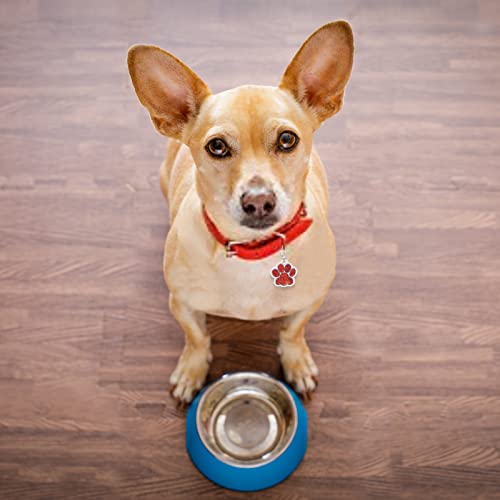 HACRAHO Etiqueta de Identificación de Perro, Etiqueta de Identificación de Perro con Huella de 18 PCS Y Etiqueta de Identificación de Perro con Brillo En Forma de Hueso, Gatos Y Mascotas