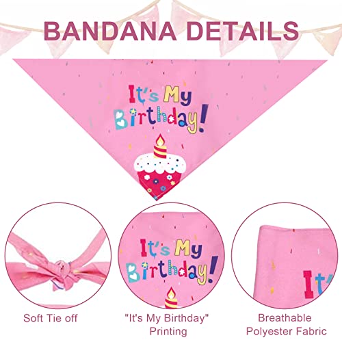 HACRAHO Juego de Sombrero Y Bandana de Cumpleaños para Perros, 2 Bufanda Triangular de Cumpleaños para Perros con Sombrero de Cono de Lentejuelas de Estrellas para Perros Y Gatos, Rosa