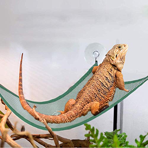 Hamaca para reptiles, dragón barbudo triangular Habitat tumbona Decoración Puente para escalar, Dragón Barbudo Hamaca Accesorios para Dragones Barbudos Geckos Lagartos, Reptil, 2 unidades