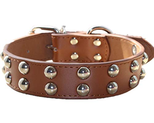 haoyueer Collar de perro de cuero de 1.2 pulgadas de ancho con tachuelas para razas medianas grandes Pitbull Terrier (S, marrón)