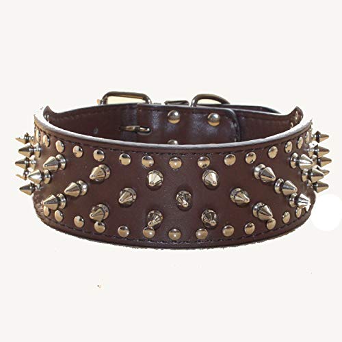 haoyueer Collar de piel sintética con tachuelas para perros medianos y grandes Pit Bull Mastín Bully Boxer (M, marrón oscuro)