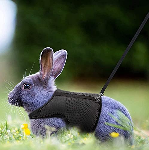 HAPPY HACHI Arnés Conejos con Correa Elástica, Arnes Cobaya Hámsteres Conejo Enano Belier para Animales Gatos Pequeños(S, Negro)