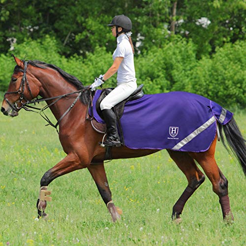 Harrison Howard Climax - Manta de ejercicio para caballo (malla suave, permeabilidad al aire, alta visibilidad, reflectante, para ejercicios de caballo, color morado