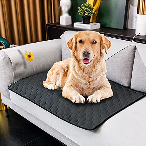 Hbao Alfombrilla Impermeable para Perros, Almohadilla para Mascotas Lavable Suave y Transpirable de Verano, para Perros pequeños y medianos, Manta de enfriamiento, Accesorios para Mascotas