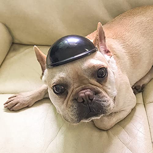 hdhuad Casco de Motocicleta para Perros, Mini Gorros para Perros, Gorra para Casco, Sombrero para protección contra la Lluvia Solar, Correa Ajustable de plástico