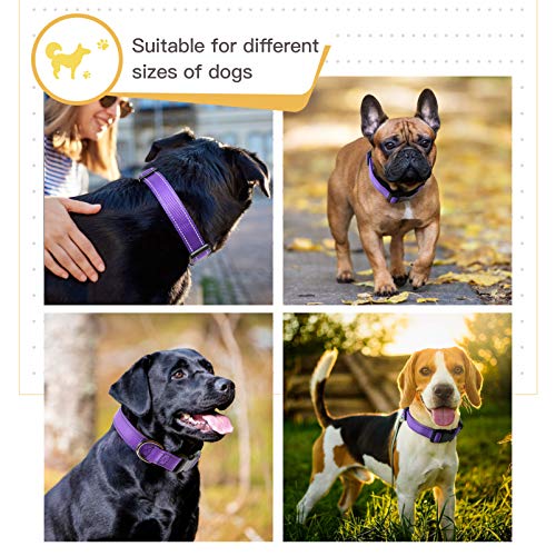 HEELE Collar Perro, Collar Nylon Reflectante Neopreno Forrado Ajustable para Perro Mediano, Morado, M