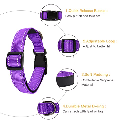 HEELE Collar Perro, Collar Nylon Reflectante Neopreno Forrado Ajustable para Perro Mediano, Morado, M