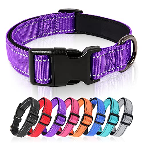 HEELE Collar Perro, Collar Nylon Reflectante Neopreno Forrado Ajustable para Perro Mediano, Morado, M