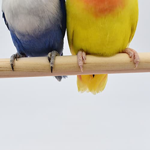 heilonglu Pájaro Jaula Soporte Loro Entrenamiento Perca Stands Playstand Playground Play Gimnasio para Conures Perfiles Lovebirds Cockatiels Pájaros Pájaros Natural Madera