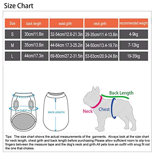 Hifrenchies Chaleco salvavidas para perro, chaleco salvavidas de tiburón, chaleco salvavidas de seguridad para mascotas Bulldog francés (M, Pez payaso)