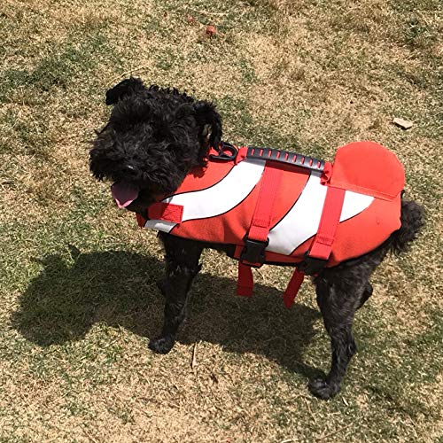 Hifrenchies Chaleco salvavidas para perro, chaleco salvavidas de tiburón, chaleco salvavidas de seguridad para mascotas Bulldog francés (M, Pez payaso)