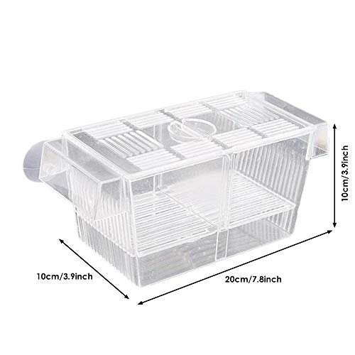 HnF Caja de cría de Peces, Caja de acrílico para Peces con ventosas, incubadora de incubadora de aclimatación para acuarios, para Peces pequeños, camarones, pez Payaso y Guppy