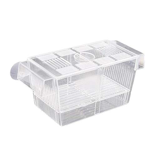 HnF Caja de cría de Peces, Caja de acrílico para Peces con ventosas, incubadora de incubadora de aclimatación para acuarios, para Peces pequeños, camarones, pez Payaso y Guppy