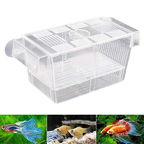 HnF Caja de cría de Peces, Caja de acrílico para Peces con ventosas, incubadora de incubadora de aclimatación para acuarios, para Peces pequeños, camarones, pez Payaso y Guppy