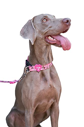 Holly Mascotas Collar de Perro Acolchado, Suave Acogedor, Collar Transpirable para Perros pequeños/medianos/Grandes, Collares Ligeros de Entrenamiento al Aire Libre Hechos en España Color Rosa.